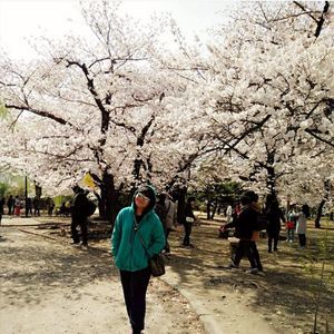 Meet your Posher, Alinsasti